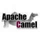 Apache Camel Training in Kenya