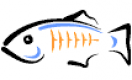 GlassFish