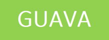 Guava Training in Kenya