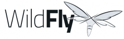Wildfly Training in Kenya